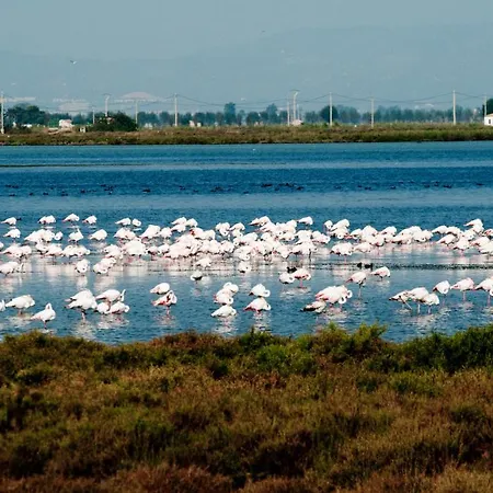 Marinas A