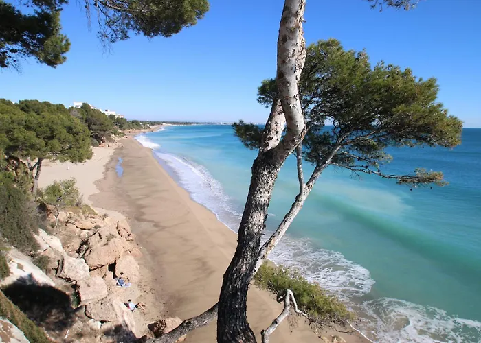 Marinas A Miami Playa