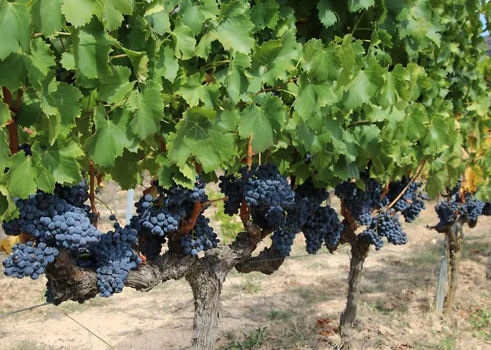 דירה Marinas A Miami Playa